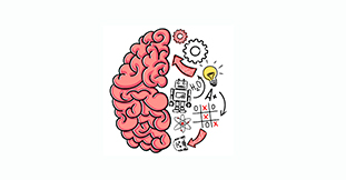 Brain Test